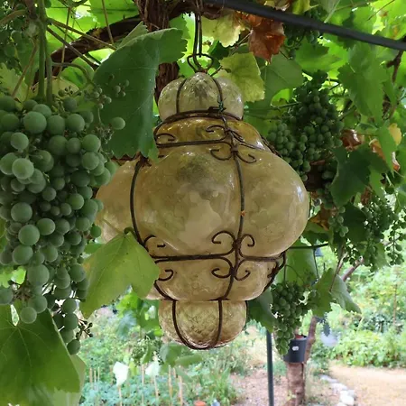 Bed & Breakfast La Maison Des Champs , D'hotes , Receptions