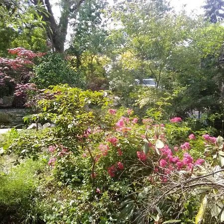 Bed & Breakfast La Maison Des Champs , D'hotes , Receptions 3*