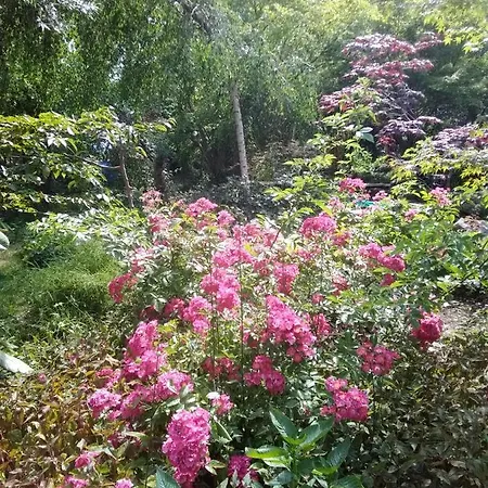 La Maison Des Champs , D'hotes , Receptions 3* Novillers-les-Cailloux