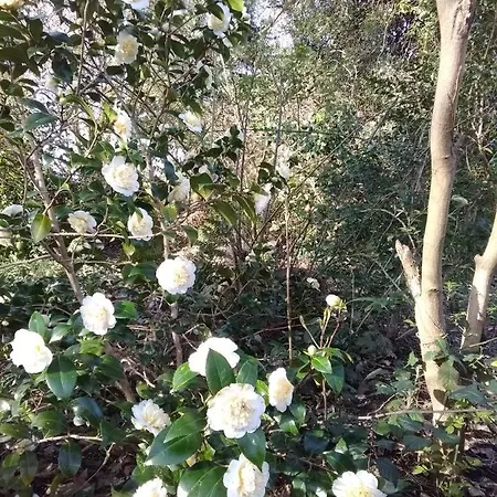 La Maison Des Champs , D'hotes , Receptions 3*