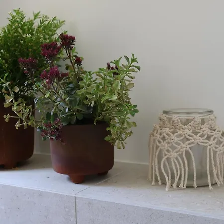 La Maison Des Champs , D'hotes , Receptions Bed & Breakfast Novillers-les-Cailloux