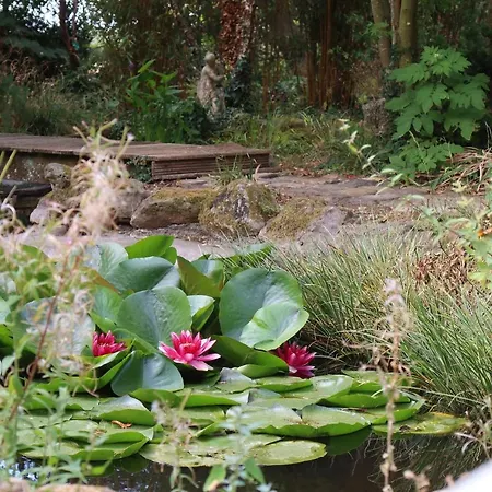 Bed & Breakfast La Maison Des Champs , D'hotes , Receptions Novillers-les-Cailloux