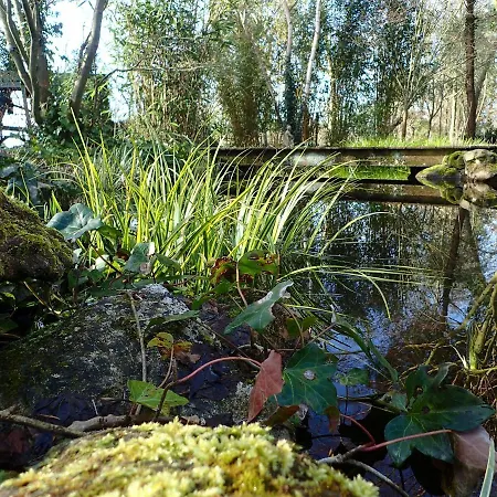 La Maison Des Champs , D'hotes , Receptions Bed & Breakfast