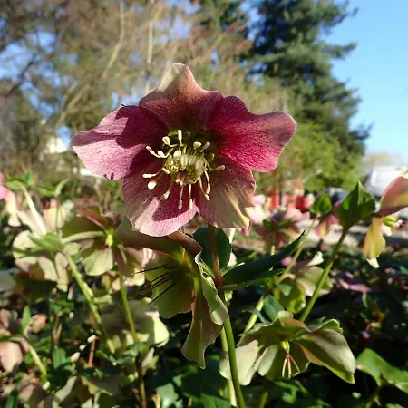 La Maison Des Champs , D'hotes , Receptions Novillers-les-Cailloux